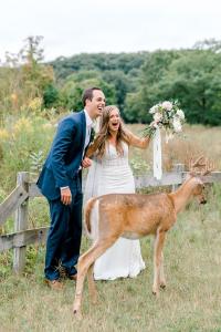 Какой-то олень прервал свадебную фотосессию, сделав ее поистине особенной